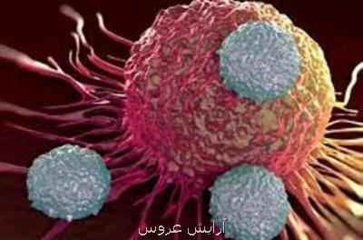تاثیر میكروب های روده در مبتلاشدن به سرطان سینه