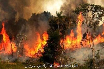 دود آتشسوزی احتمال مبتلا شدن به كووید ۱۹ را زیاد می كند