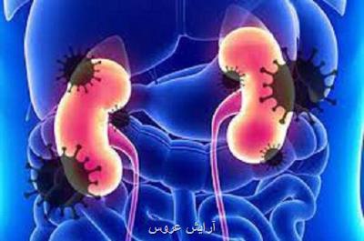 صدمه کلیوی از عوارض طولانی مدت کووید 19