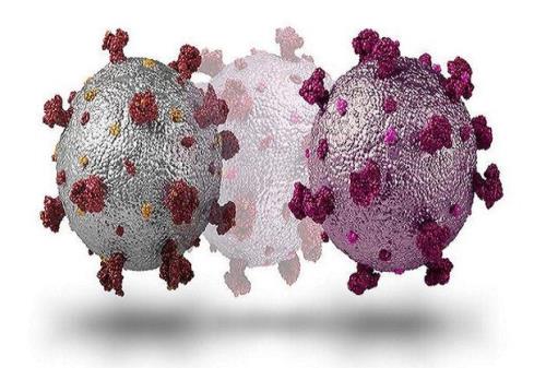 توانایی سلول های T سیستم ایمنی در مقابله با سویه اومیکرون