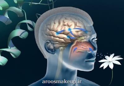 احتمال از دست دادن بویایی و چشایی در سویه های جدیدتر کمتر است