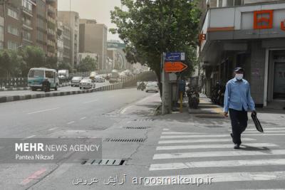 چگونه از خطرات آلودگی هوا در امان بمانیم