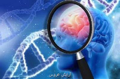 داروی راپامایسین پلاک های در رابطه با آلزایمر را زیاد می کند