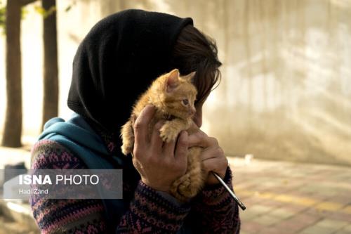 چالش بهزیستی برای نگهداری و درمان ترنس های معتاد متجاهر