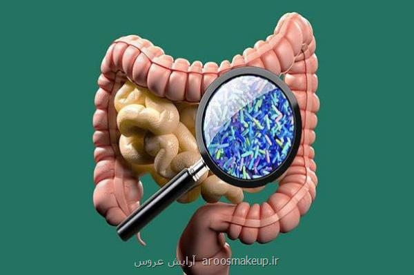 میکروبیوم های روده در بروز عفونت HIV نقش دارند