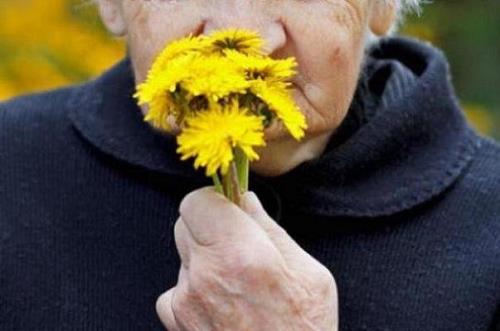 کاهش حس بویایی در سالمندی و افزایش ریسک مبتلا شدن به افسردگی