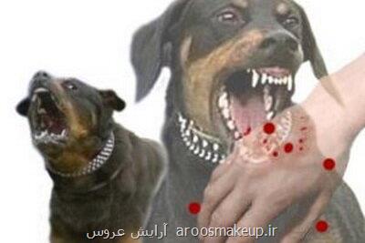 ۴ مرگ ناشی از هاری در ۱۴۰۳