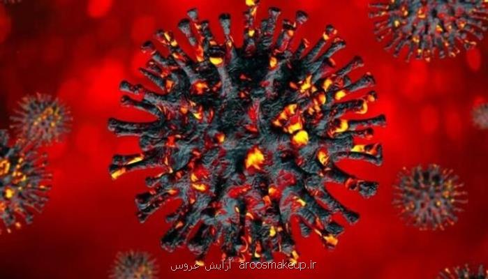 گسترش ویروس کووید ۱۹ در حیات وحش ایالات متحده