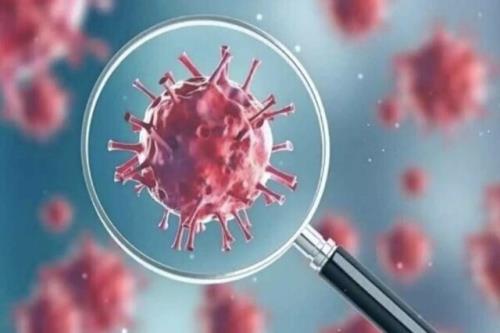 رینوویروس ها پیشتاز ویروس های در گردش بیماری های حاد تنفسی