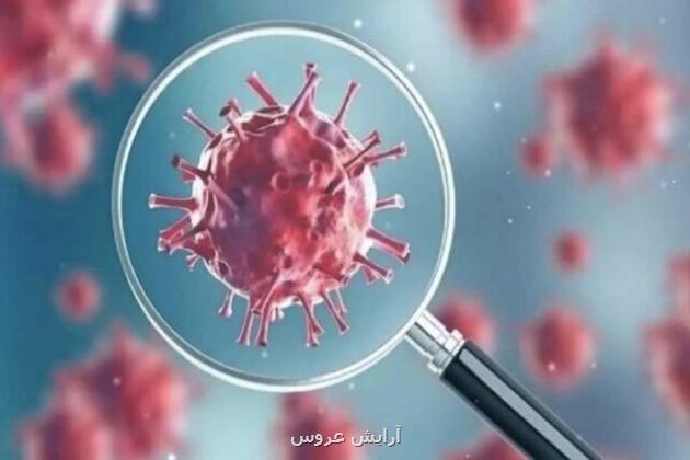 رینوویروس ها پیشتاز ویروس های در گردش بیماری های حاد تنفسی
