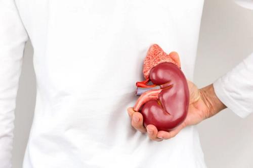 گرما و کم آبی بدن، خطری خاموش برای کلیه ها