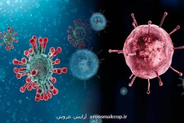 موج خفیف عفونت های تنفسی در شروع بهار