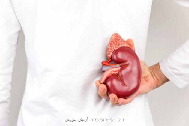 گرما و کم آبی بدن، خطری خاموش برای کلیه ها