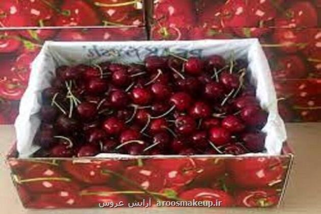 میوه ای مغذی که به کاستن علائم آرتروز کمک می نماید