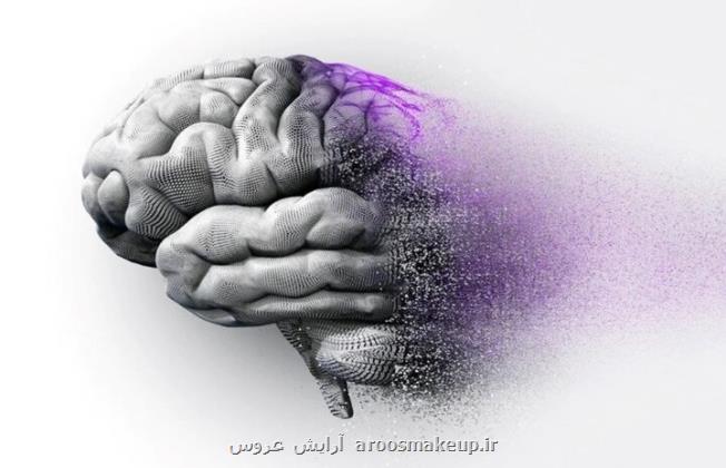 ردپای لیتیوم در صیانت از مغز در مقابل آلزایمر