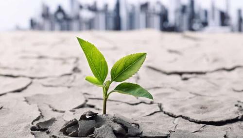 سلامت معنوی حلقه گمشده میان جسم و روان انسان