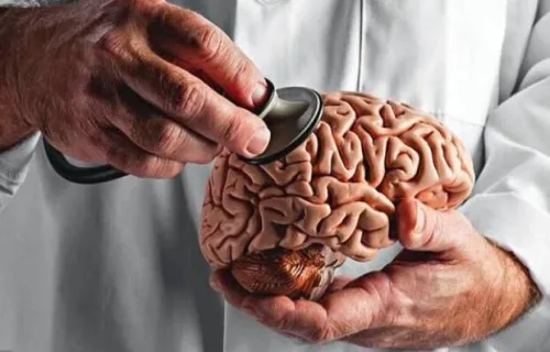 مغز جوان تر می خواهید؟ این سفارش ها را رعایت کنید