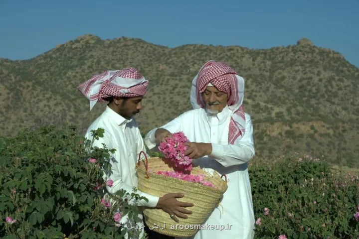 داستان خبر ثبت گل محمدی به نام عربستان چیست؟