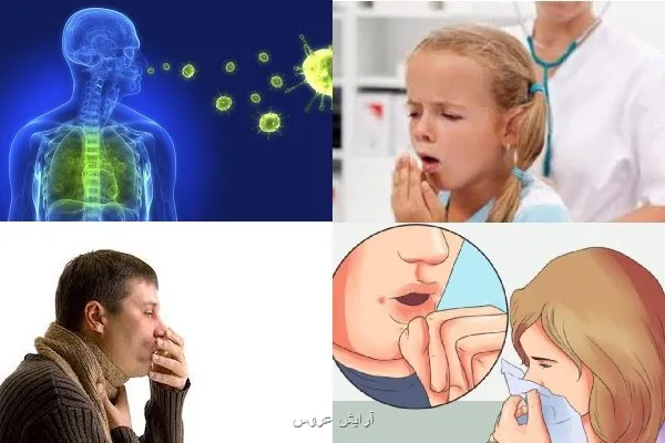 موارد مبتلا شدن به سل در جهان به بالاترین حد خود رسیده است