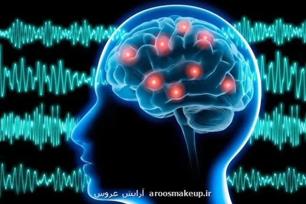 یادگیری زبان ها می تواند مغز را جوان تر کند
