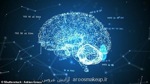 امكان تشخیص آنلاین نورون های داخل قشر مغز در حیوان زنده در كشور امكان پذیر شد