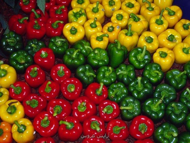 سبزیجات كم كالری و مغذی برای كاهش وزن