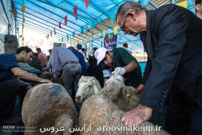 احتمال شیوع بیماری از راه ذبح دام در منازل و معابر عمومی