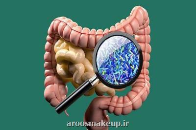 باكتری های روده به بازسازی سیستم ایمنی بدن كمك می كنند